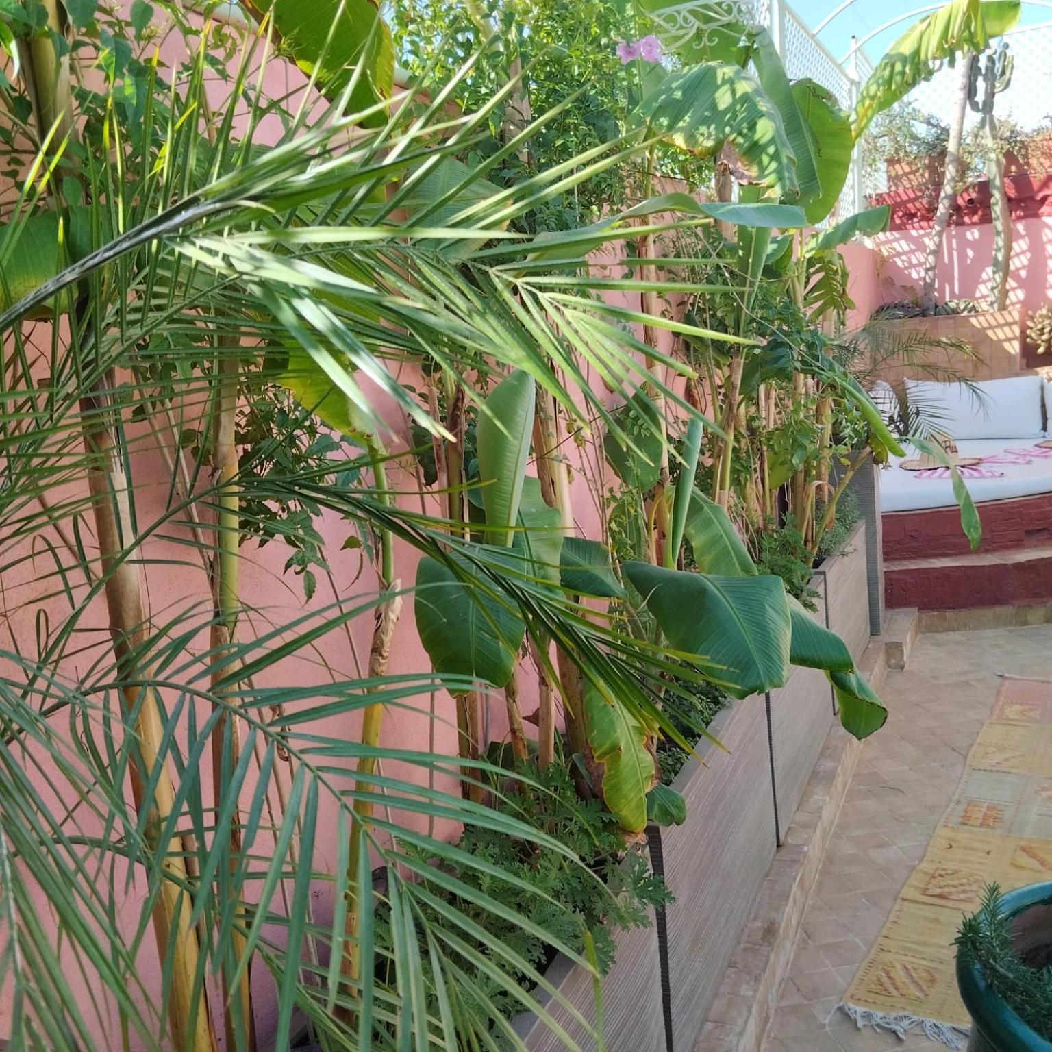 Riad Laith (Adults Only) Marrakesh Eksteriør bilde