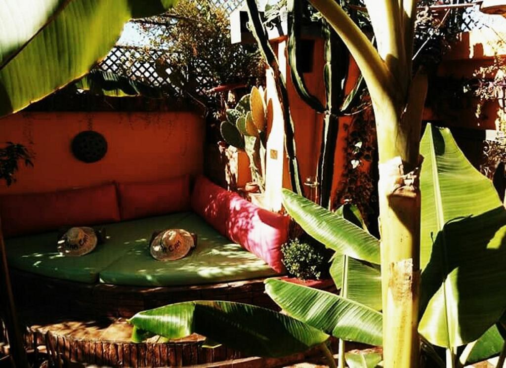 Riad Laith (Adults Only) Marrakesh Eksteriør bilde