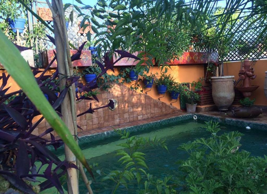 Riad Laith (Adults Only) Marrakesh Eksteriør bilde