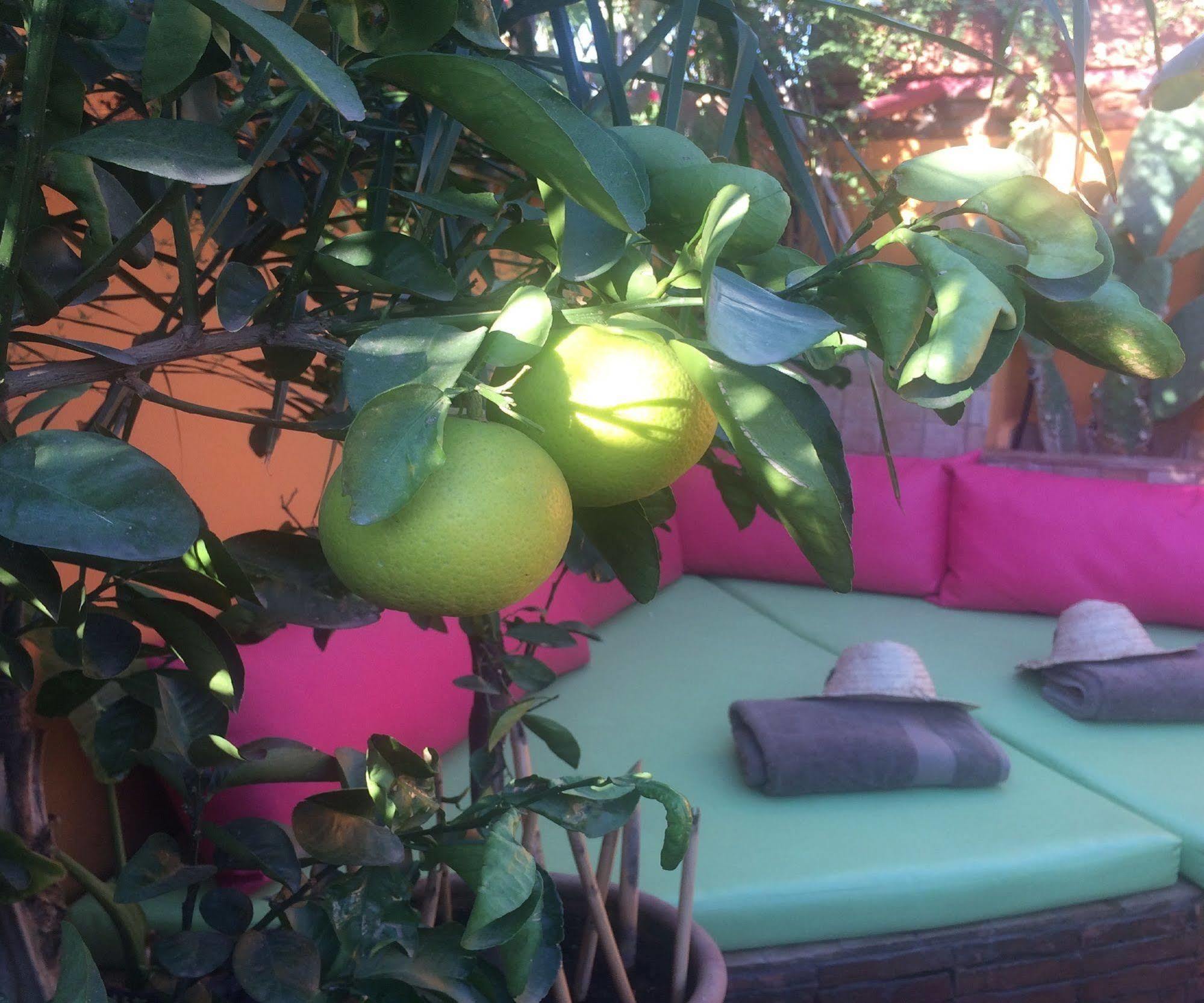 Riad Laith (Adults Only) Marrakesh Eksteriør bilde